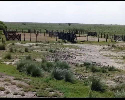 Se Vende Y/O Alquila Campo en Provincia de Santa FÉ