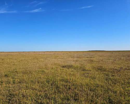 Campo Venta 120 Ha Ganaderas Saladillo