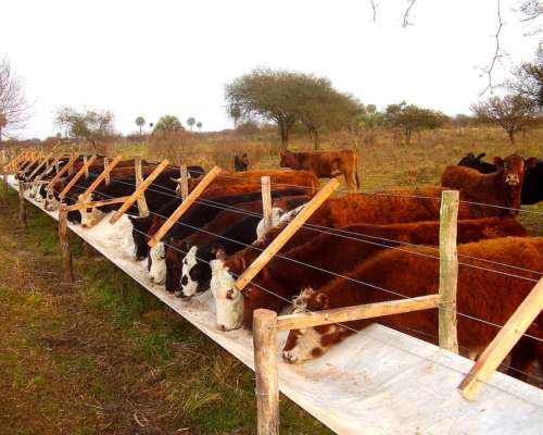 Campo Mixto de Gran Escala en Federal, Entre Ríos