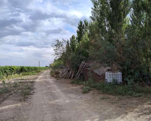 Campo con Buena Producción de UVA y Pozo con Bomba.