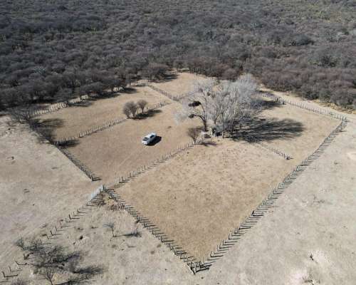 Venta 6500 Ha en Anchorena , San Luis