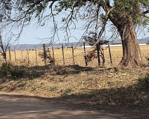 Cordoba Sobre Ruta Prov N15