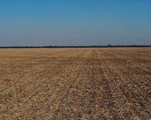 Venta Campo Agricola a Tranquera Cerrada (hacienda Bradford)
