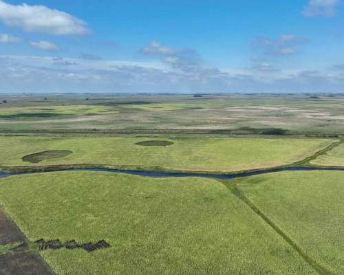 Pcia. de Buenos Aires - Roque Perez 243 Ha