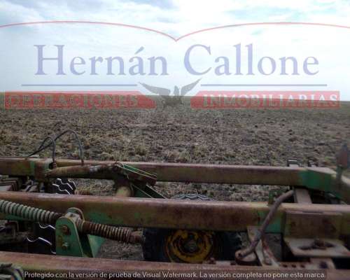 Campo Ganadero 5560 Ha en SUR de Santiago del Estero