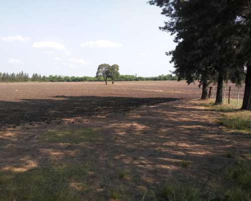 115 Hectareas Agricolas Villaguay