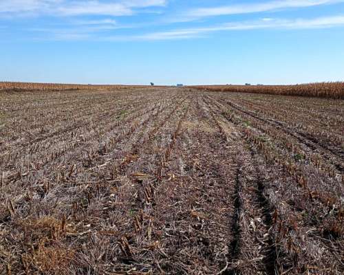 Campo Mixto 70% Agricola 29% Ganadero