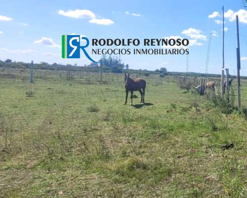 7 HA. en Gualeguaychú - Sobre Ruta 20