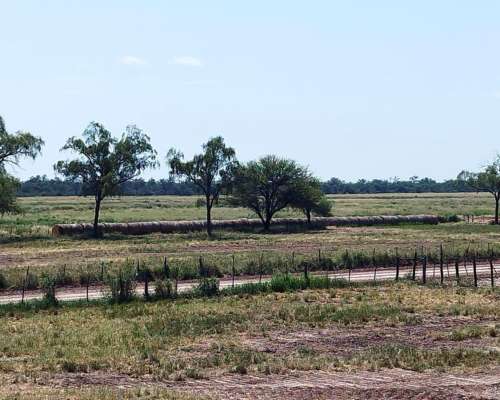 Joaquin V Gonzalez, Anta, Salta - 5.500 Ha