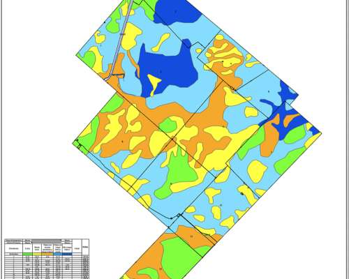 Campo Alquiler Pila 4400 Ha
