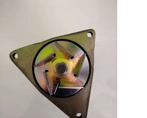 Bomba de Agua Serie C Pauny-zanello