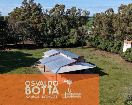 Campo Agricola en Venta, 600 Has Coronel Dorrego, BS AS