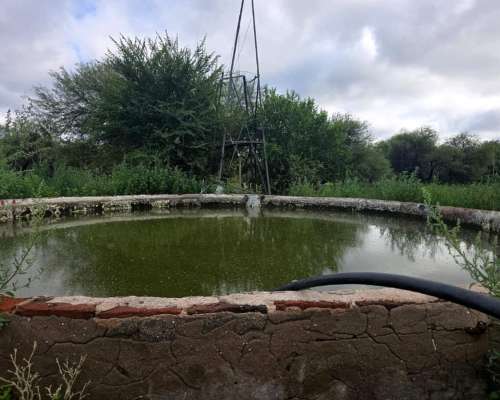 2300 Ha Ganaderas en Quines