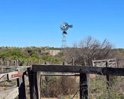 Vendo 15000 Ha en Monte Coman Mendoza