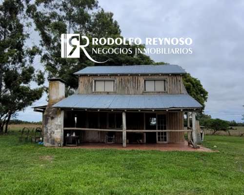 Granja Avícola de 33 Hectáreas