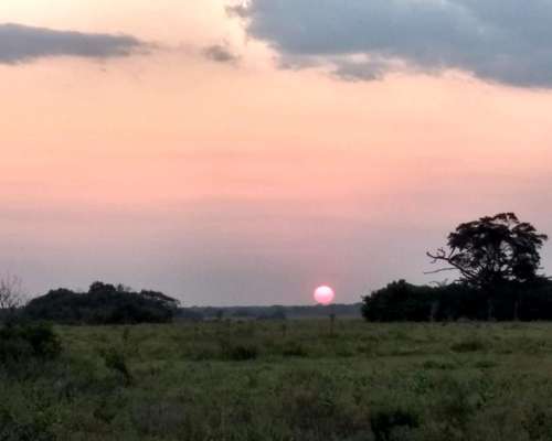 Impresionante Campo Mixto. Ituzaingo. Ctes