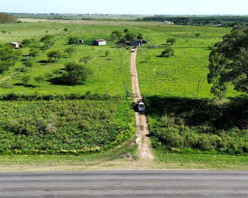 Vendo Campo 20 Has en Ruta 39 Concepción del Uruguay Entre R