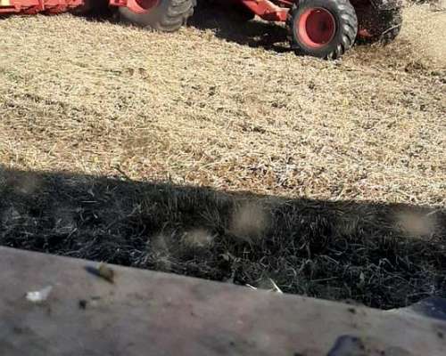 Cosechadora Don Roque 150