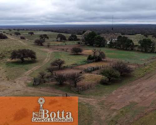 Campo Ganadero en Venta en Hucal, la Pampa