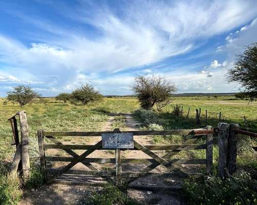 4855 HS. Ganaderas en Algarrobo (BS As).