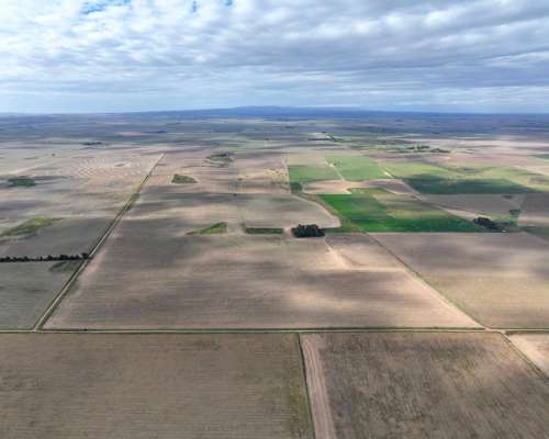 Pcia. de Cordoba - Sampacho 601 Has