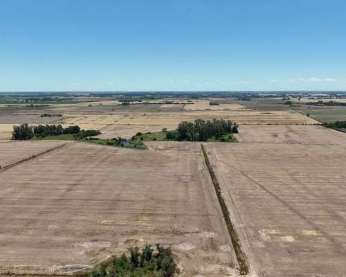 Campo Agrícola con Casco en Zarate