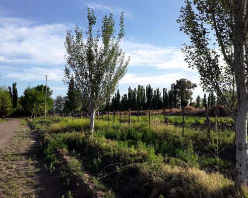 Oportunidad de Finca Lista para Producir