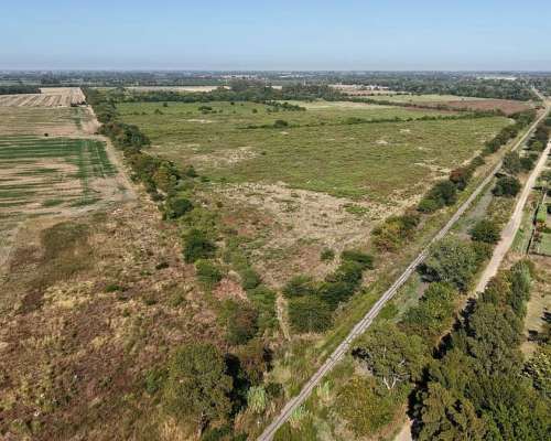Campo en 20 de Junio - 30 Hectáreas