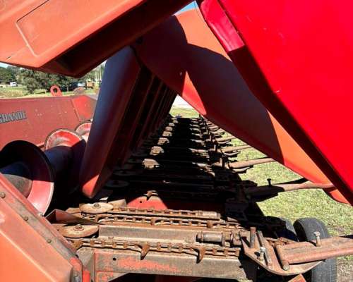 Maicero de Grande de 10 a 70 cm