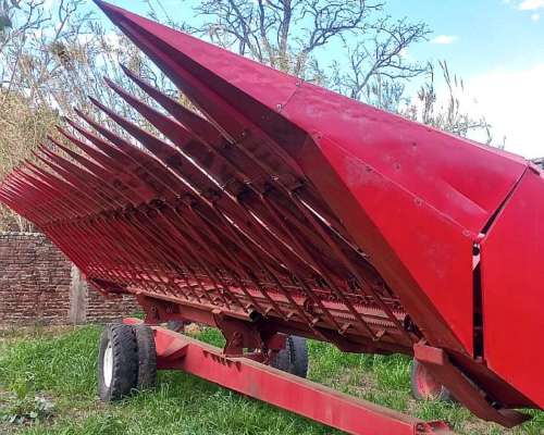 Girasolero Mainero de 16 a 52