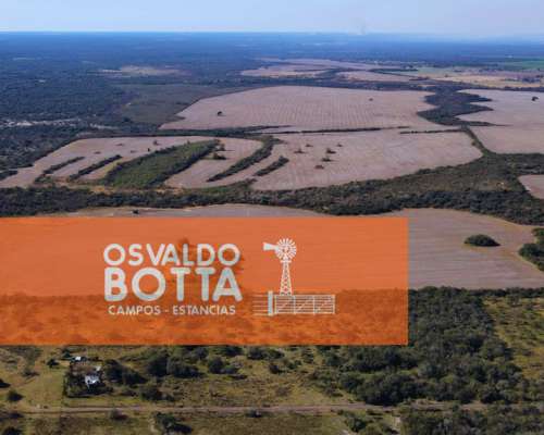 Campo Mixto en Venta 1740has San Jose de Feliciano, ER