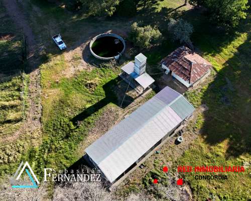 27 Has, con Mejoras y Forestación