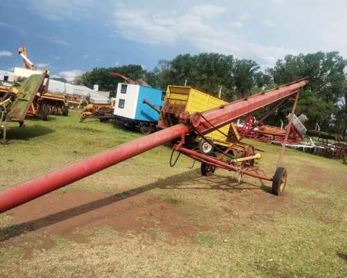 Exelente Chimango Turchety 14