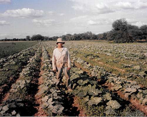 Campo Mixto, 5000 + 2777 Ha Garza, SGO del Estero