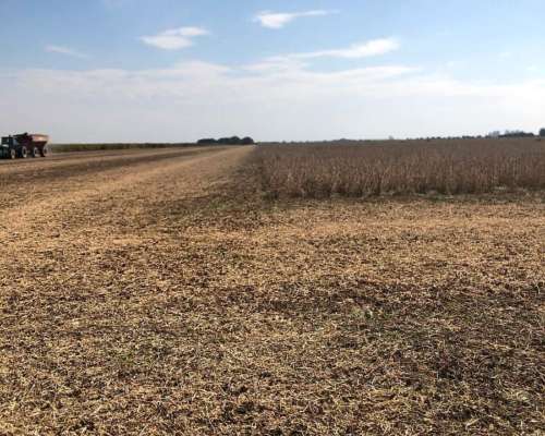 Piloto Automatico Centrix con Señal RTK - 2cm