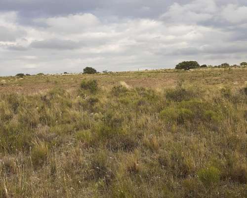 Campo Ganadero Mixto Cordoba
