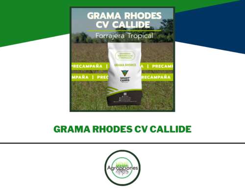 Precampaña de Forrajeras Tropicales - 10% OFF Hasta el 30/04