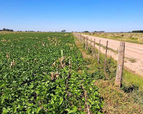 90 Ha Mixtas - los Quirquinchos - 64 Agricolas 26 Ganaderas
