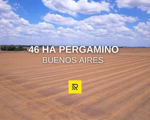 46 Ha Pergamino Bs.as