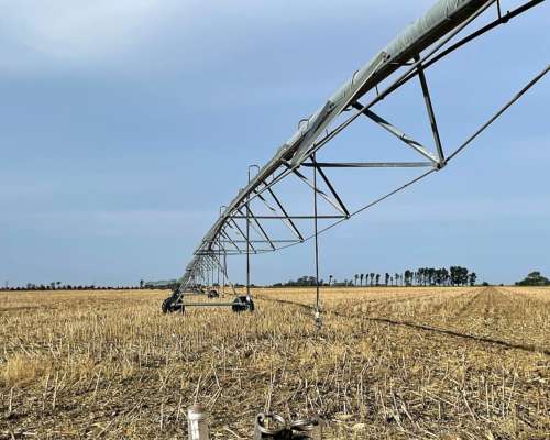 Riego Zanello Electronica Albarracin