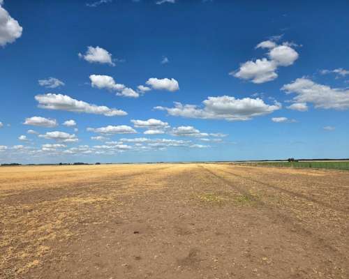 800 Hectareas en Venta