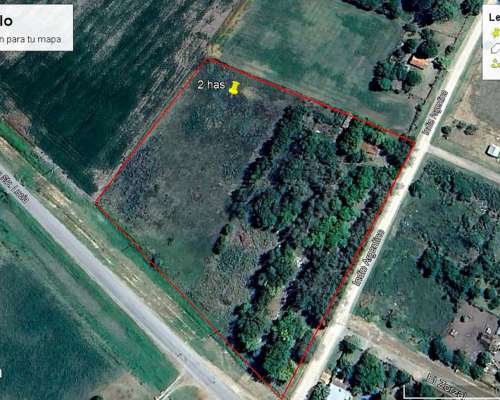 Chacra de 2 Has Sobre Ruta Asfaltada en San Pedro