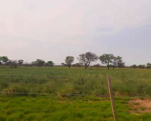 Dueño Vende Campo Gato Colorado Agricola Ganadero