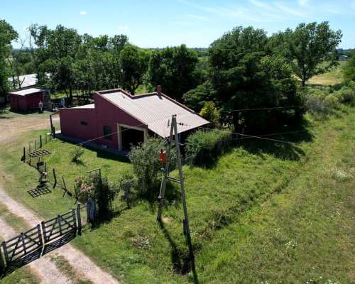 Granja Avícola. Nogoyá Entre Rios