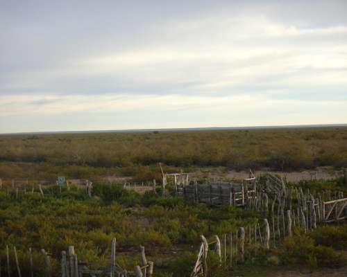 2500 Has. Lihuel Calel – la Pampa