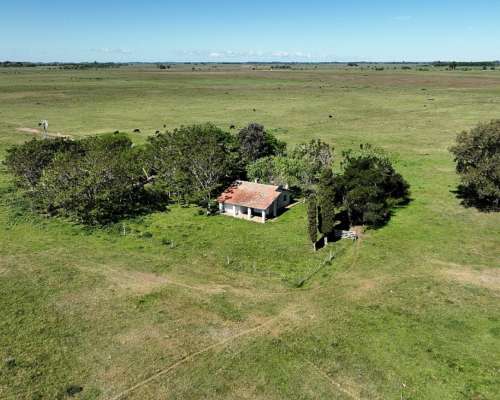 Cañuelas, Buenos Aires - 88 Ha