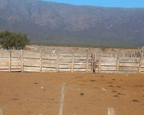 Campo Agricola Ganadero Ferlot en Catamarca