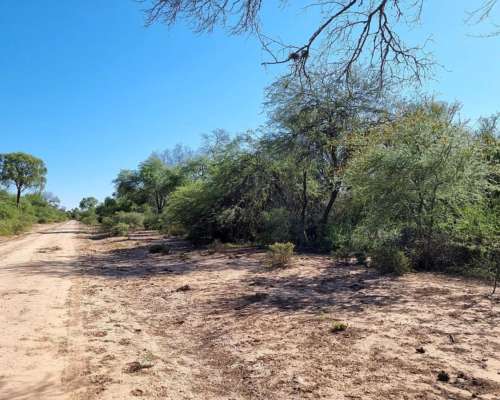 Campo Gallo, Alberdi, Santiago del Estero - 10.000 Ha