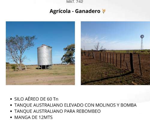 Establecimiento el Roble - Santa FE