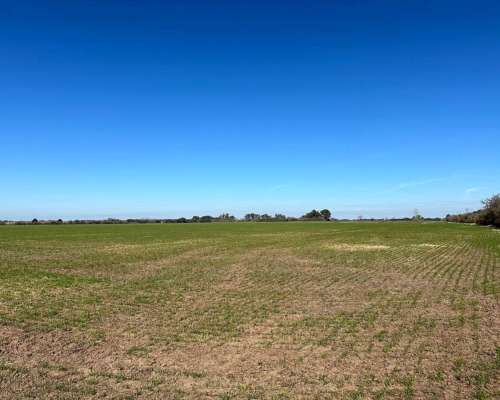 Campana, Buenos Aires - 101 Ha